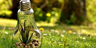 dove si buttano le lampadine