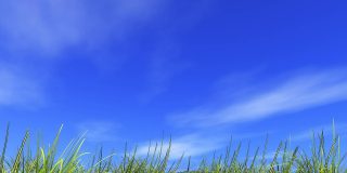 pompa di calore aria-aria