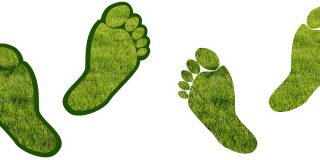 carbon footprint